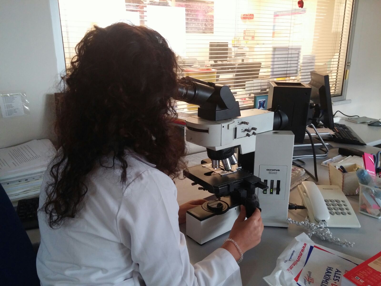 Patologi & Mikrobiologi